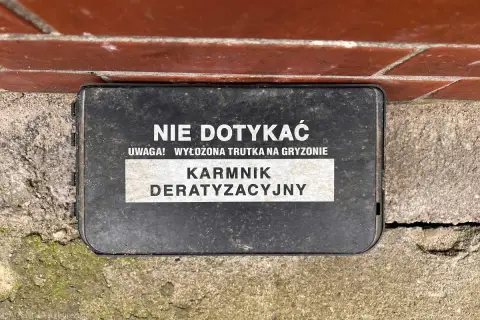 Kto odpowiada za deratyzację w bloku? Prawo i Twój plan działania.