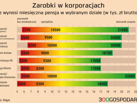 Zarobki dewelopera: Ile zyskuje firma, a ile pracownik?
